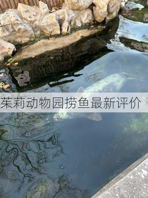 茱莉动物园捞鱼最新评价