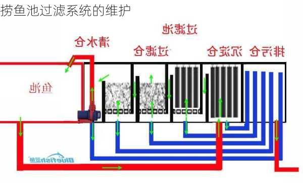 捞鱼池过滤系统的维护