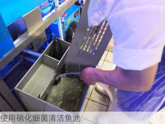 使用硝化细菌清洁鱼池
