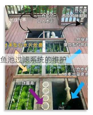 鱼池过滤系统的维护