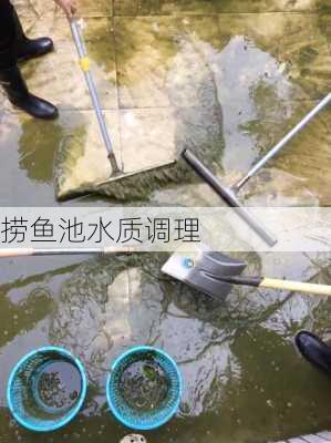 捞鱼池水质调理