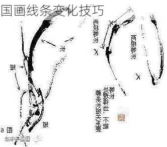国画线条变化技巧