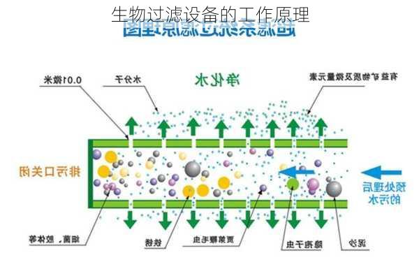 生物过滤设备的工作原理