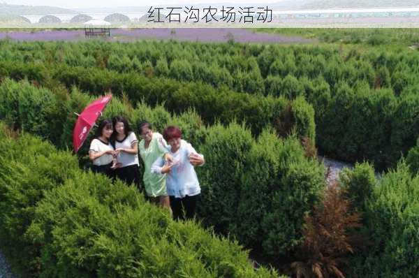 红石沟农场活动