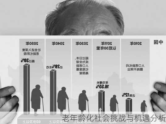 老年龄化社会挑战与机遇分析