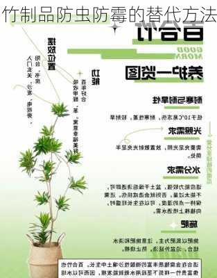 竹制品防虫防霉的替代方法