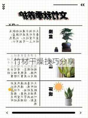 竹材干燥技巧分享