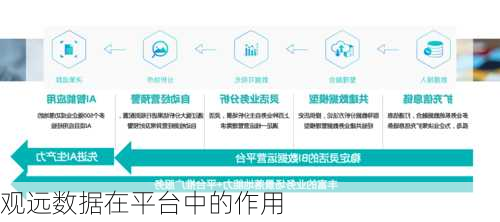 观远数据在平台中的作用