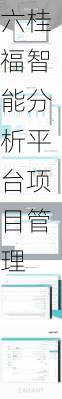 六桂福智能分析平台项目管理