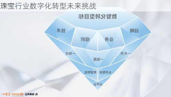 珠宝行业数字化转型未来挑战