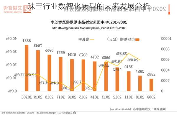 珠宝行业数智化转型的未来发展分析