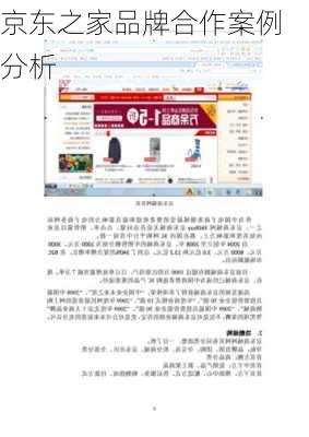 京东之家品牌合作案例分析