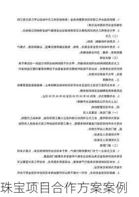 珠宝项目合作方案案例