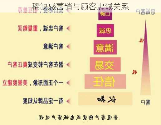 稀缺感营销与顾客忠诚关系