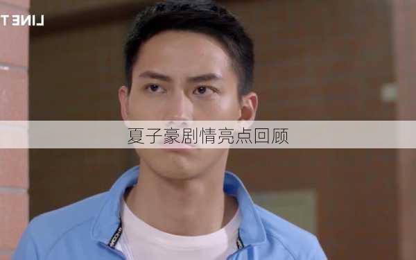 夏子豪剧情亮点回顾