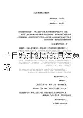 节目编排创新的具体策略