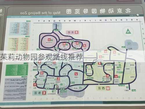 茱莉动物园参观路线推荐