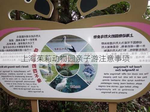 上海茱莉动物园亲子游注意事项