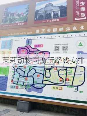 茱莉动物园游玩路线安排