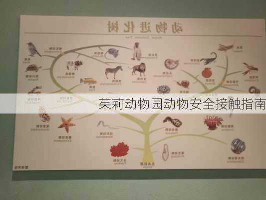 茱莉动物园动物安全接触指南
