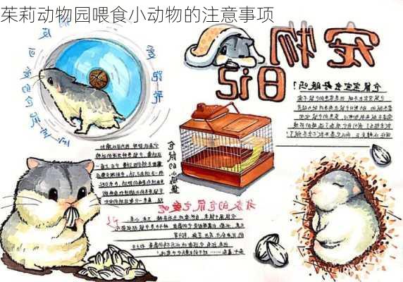 茱莉动物园喂食小动物的注意事项