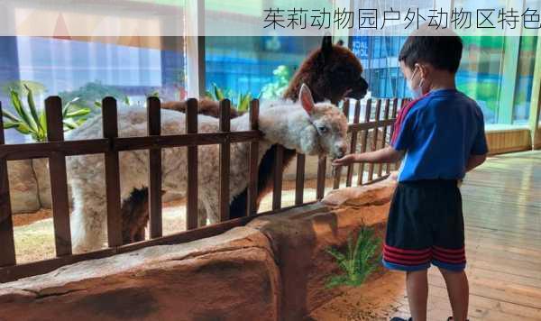 茱莉动物园户外动物区特色