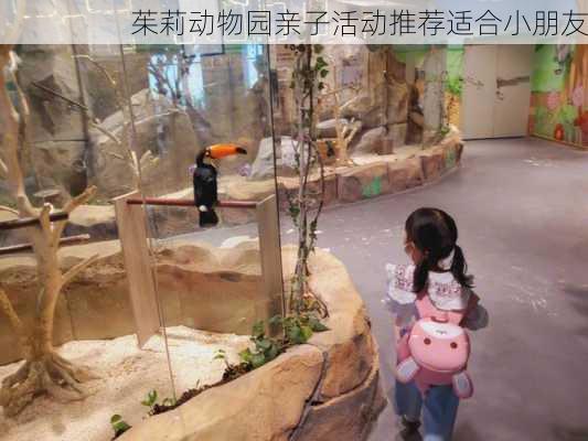 茱莉动物园亲子活动推荐适合小朋友