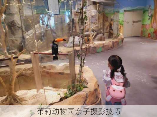 茱莉动物园亲子摄影技巧