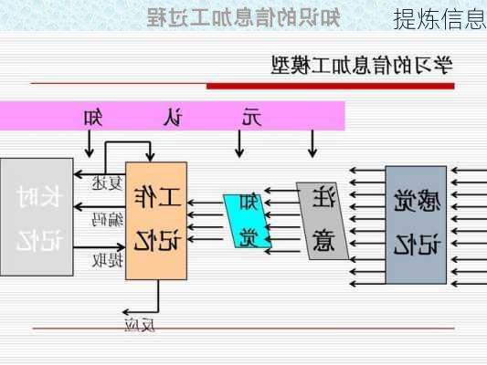 提炼信息