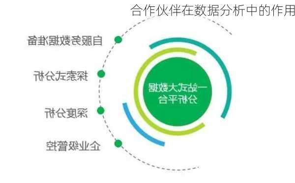 合作伙伴在数据分析中的作用