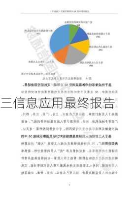 三信息应用最终报告