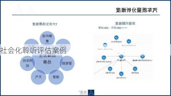 社会化聆听评估案例