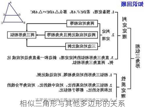 相似三角形与其他多边形的关系
