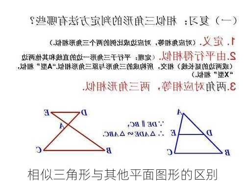 相似三角形与其他平面图形的区别