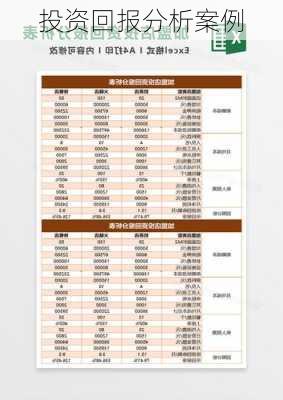 投资回报分析案例