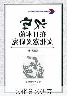 文化意义研究