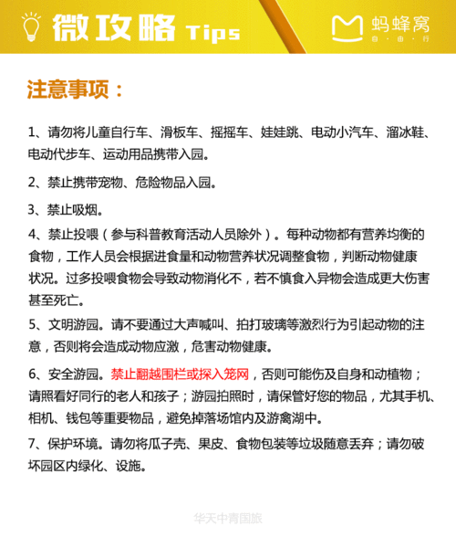 夜游野生动物世界的安全须知