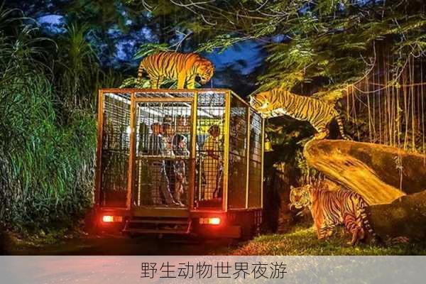 野生动物世界夜游