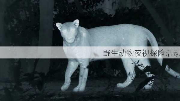野生动物夜视探险活动