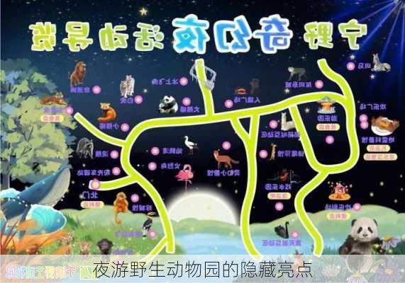 夜游野生动物园的隐藏亮点