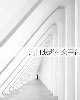 黑白摄影社交平台