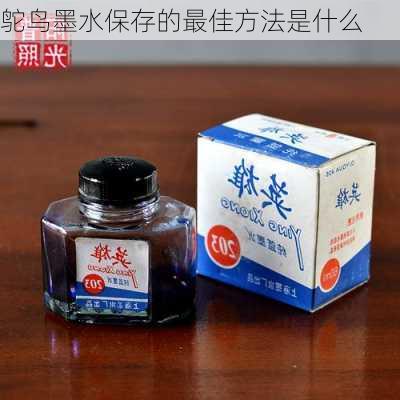 鸵鸟墨水保存的最佳方法是什么