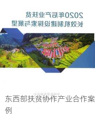 东西部扶贫协作产业合作案例