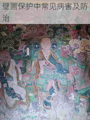 壁画保护中常见病害及防治