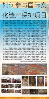 如何参与国际文化遗产保护项目
