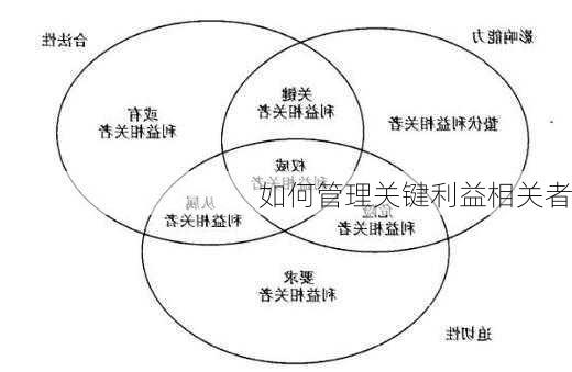 如何管理关键利益相关者