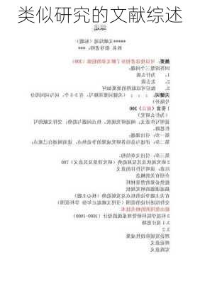 类似研究的文献综述