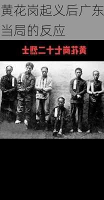 黄花岗起义后广东当局的反应