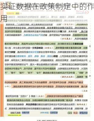 实证数据在政策制定中的作用