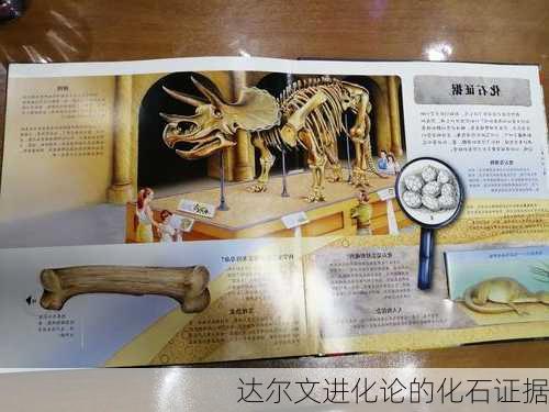 达尔文进化论的化石证据